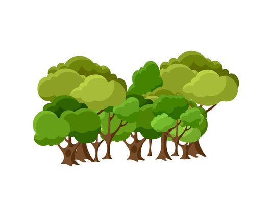 10 Bäume - 1,08% deines CO² Fußabdruckes