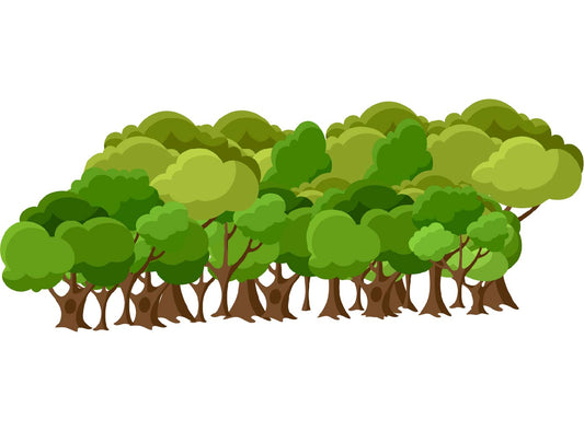 20 Bäume - 2,16% deines CO² Fußabdruckes