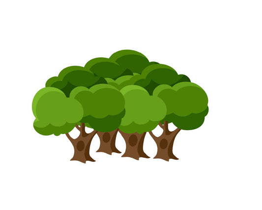 4  Bäume - 0,76% deines CO² Fußabdruckes