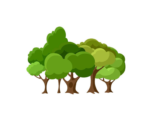 5 Bäume - 0,54% deines CO² Fußabdruckes